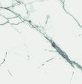 Carrara Premium 24x24 Pre Polished Marble Look Porcelain Tile