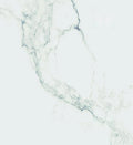 Carrara Premium 24x24 Pre Polished Marble Look Porcelain Tile