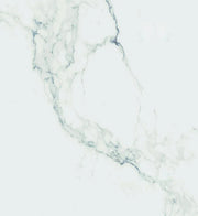 Carrara Premium 24x24 Pre Polished Marble Look Porcelain Tile