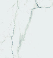 Carrara Premium 24x24 Pre Polished Marble Look Porcelain Tile