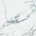Carrara Premium 24x24 Pre Matte Marble Look Porcelain Tile