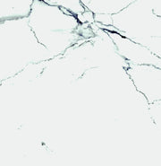 Carrara Premium 24x24 Pre Polished Marble Look Porcelain Tile