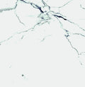 Carrara Premium 24x24 Pre Matte Marble Look Porcelain Tile