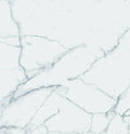 Carrara Premium 24x24 Pre Matte Marble Look Porcelain Tile