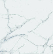 Carrara Premium 24x24 Pre Matte Marble Look Porcelain Tile