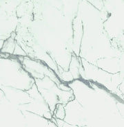 Carrara Premium 24x24 Pre Matte Marble Look Porcelain Tile
