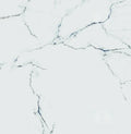 Carrara Premium 24x24 Pre Matte Marble Look Porcelain Tile