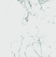 Carrara Premium 24x24 Pre Matte Marble Look Porcelain Tile