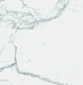 Carrara Premium 24x24 Pre Matte Marble Look Porcelain Tile