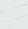 Carrara Premium 24x24 Pre Matte Marble Look Porcelain Tile
