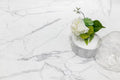 Carrara Premium 32x32 Pre Matte Marble Look Porcelain Tile