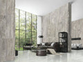 Carrara Select 2.0 Calacatta Renoire 24x48 Natural Porcelain Tile