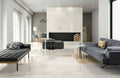 Carrara Select 2.0 Calacatta Renoire 24x48 Natural Porcelain Tile