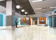 Carrara Select 2.0 Carrara Zebrino 24x48 Polished Porcelain Tile