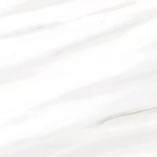 Carrara Select Venato 24x48 matte porcelain tile with a white surface and soft diagonal gray veining.