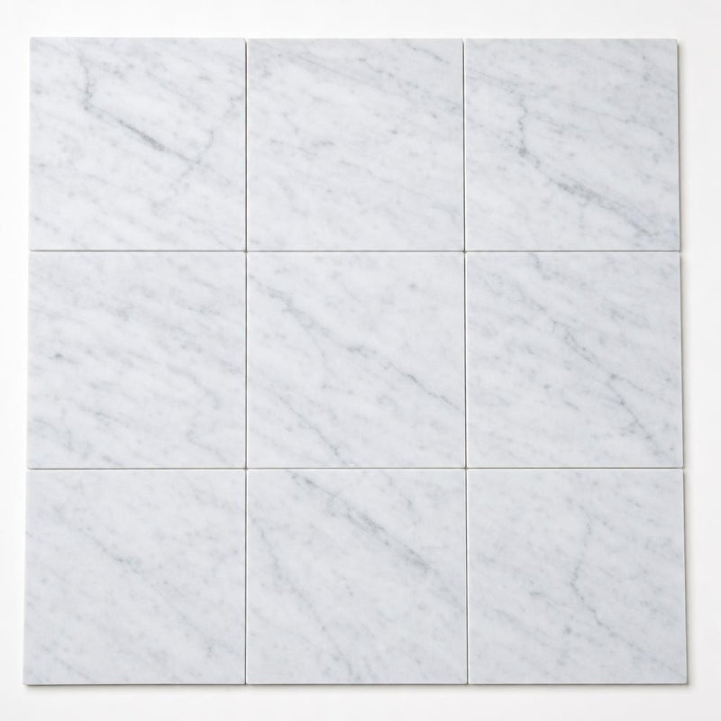 Carrara White 12x12 Honed Veined Marble Tile close-up