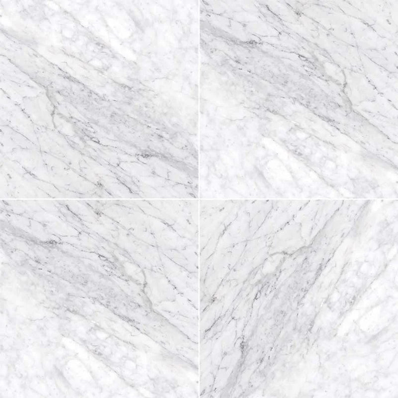Carrara White (C) 12x12 Polished Marble Tile