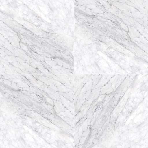 Carrara White (C) 12x12 Polished Marble Tile