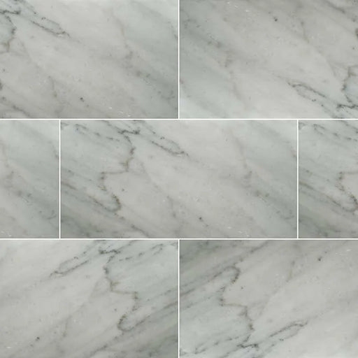 Carrara White 12x24 Honed Marble Tile