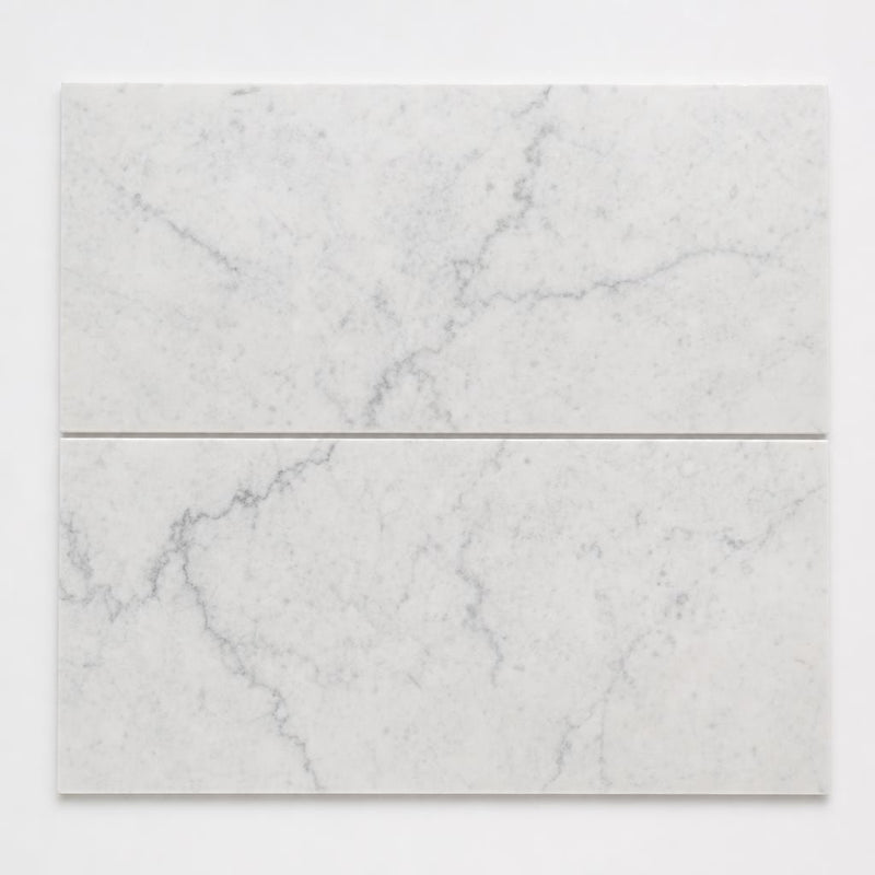 Carrara White 12x24 Polished Marble Tile close-up
