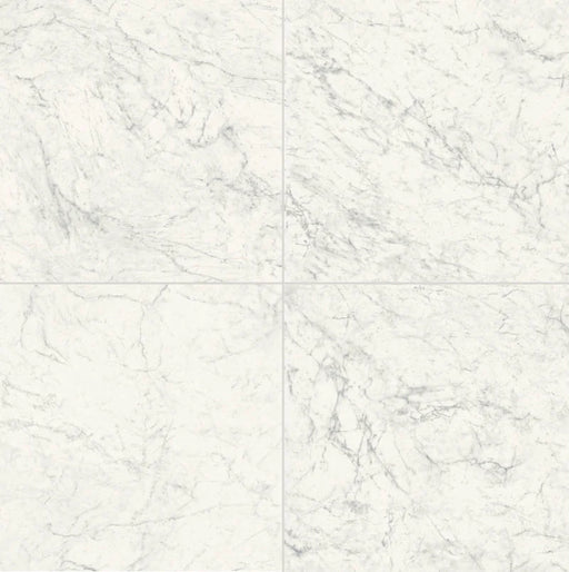 Carrara 24x24 Porcelain Paver
