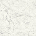 Carrara 24x24 Porcelain Paver