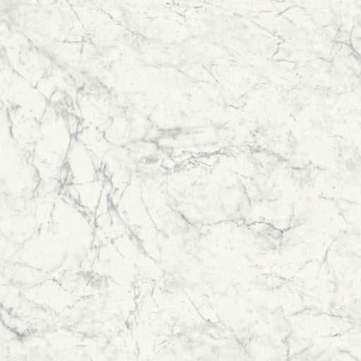 Carrara 24x24 Porcelain Paver
