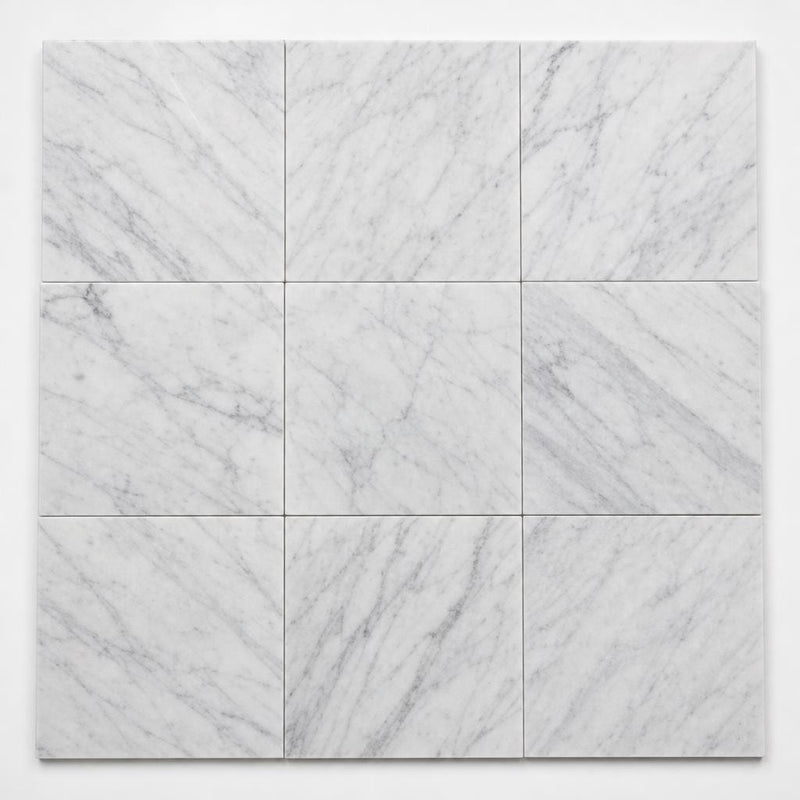 Carrara White (C) 12x12 Honed Marble Tile close-up