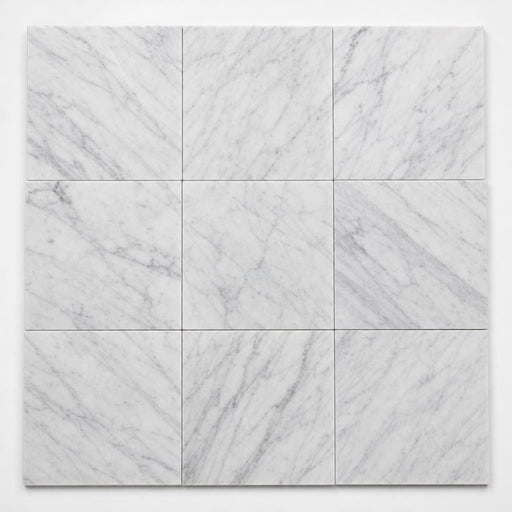 Carrara White (C) 12x12 Honed Marble Tile close-up