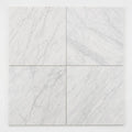 Carrara White (C) 18x18 Honed Marble Tile close-up