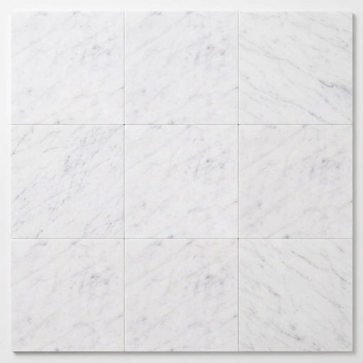 Carrara White (Italian) Marble 12x12 Honed Tile close-up
