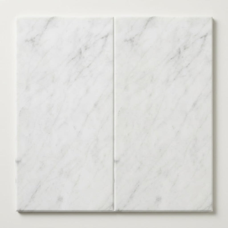 Carrara White (Italian) Marble 12x24 Honed Tile close-up