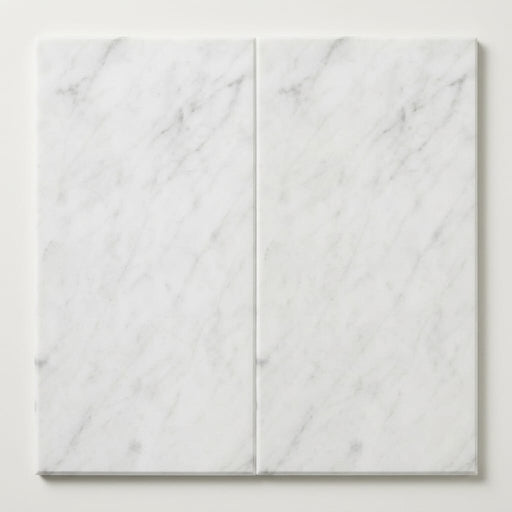 Carrara White (Italian) Marble 12x24 Honed Tile close-up