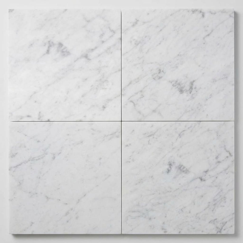 Carrara White (Italian) Marble 18x18 Honed Tile close-up