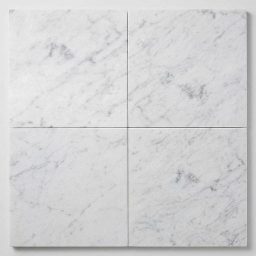 Carrara White (Italian) Marble 18x18 Honed Tile close-up
