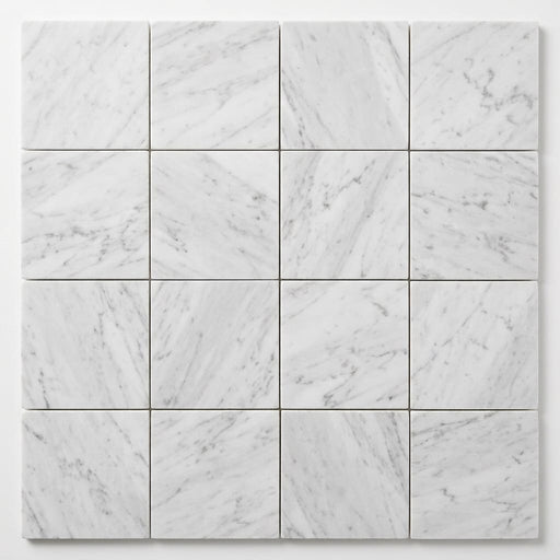 Carrara White (Italian) Marble 6x6 Honed Tile close-up