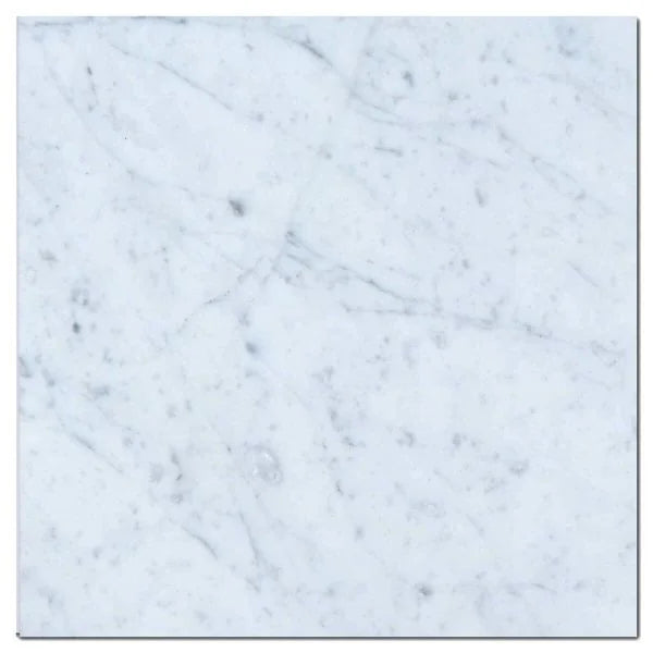 Carrara White (Venetino) 12x24 Honed Veined Marble Tile