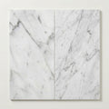 Carrara White Marble Tile 12x24 Honed close-up