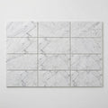Carrara White Marble Tile 6x12 Honed close-up