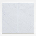 Carrara White (Venetino) 12x24 Honed Veined Marble Tile close-up