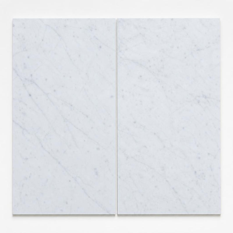 Carrara White (Venetino) 12x24 Honed Veined Marble Tile close-up