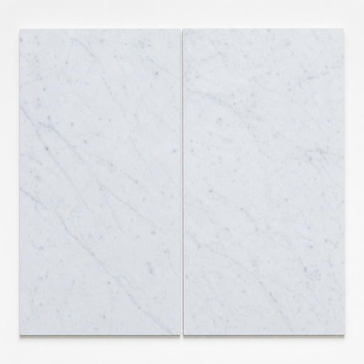 Carrara White (Venetino) 12x24 Honed Veined Marble Tile close-up