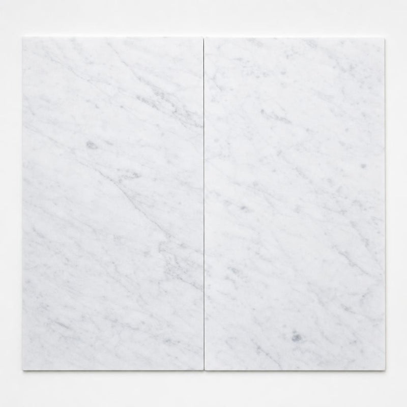 Carrara White (Venetino) 12x24 Polished Veined Marble Tile close-up