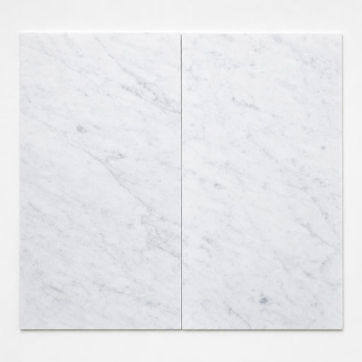 Carrara White (Venetino) 12x24 Polished Veined Marble Tile close-up