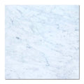 Carrara White (Venetino) 12x24 Polished Veined Marble Tile