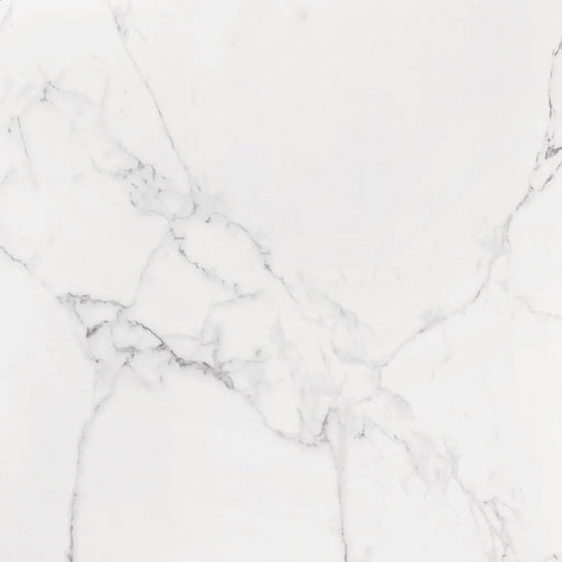 LM Carrara MT 24x48 Rectified Porcelain Tile