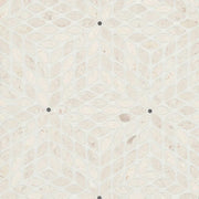 Celeste Myra Beige with Basalt Dot 16.25x14.25 Honed Marble Mosaic