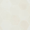 Celine White 5x4 Hexagon Matte Ceramic Field Tile
