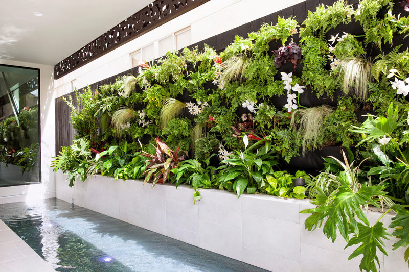 Cemento Rasato Bianco 12x24 Matte Porcelain Tile