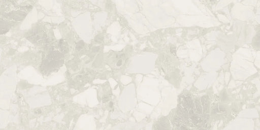 Ceppo White 24x48 Matte Porcelain Tile